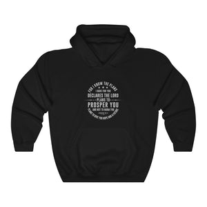 For I Know the Plans Men's Heavy Blend™ Hooded Sweatshirt