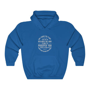 For I Know the Plans Men's Heavy Blend™ Hooded Sweatshirt